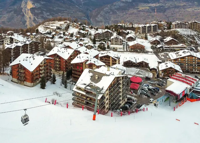 Pracondu 2 502 - Outdoor & Fun Charming